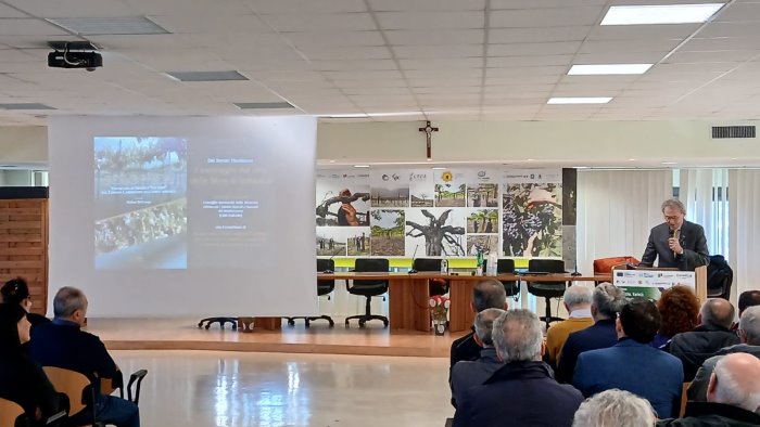 solopaca e la pompei della biodiversita viticola