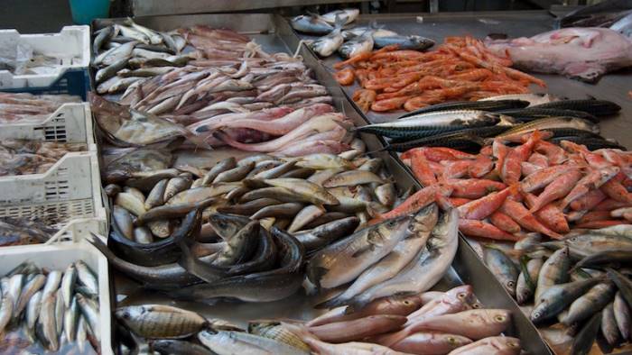 controlli in pescheria sequestrati 70 kg di pesce