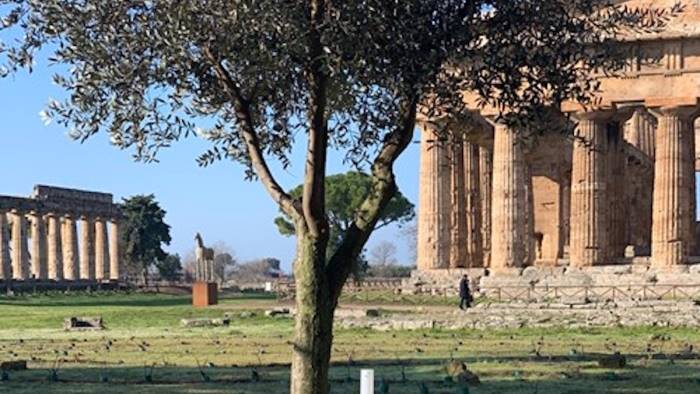 gennaio da record per il parco archeologico di paestum