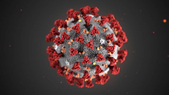 coronavirus isolato codice genetico allo spallanzani