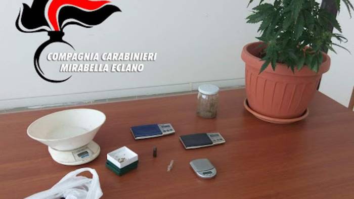 mirabella studente trovato in possesso di marijuana