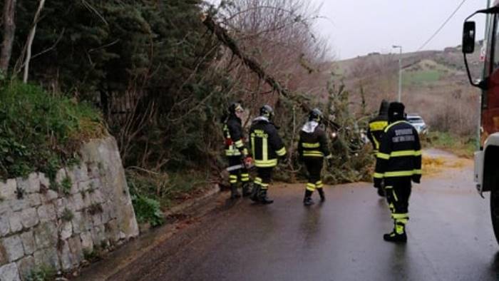 ariano alberi pericolanti volontari e caschi rossi in campo