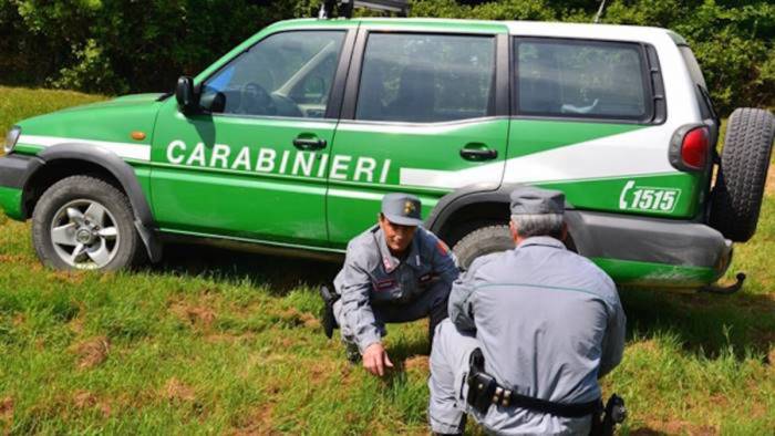 scoperta strada sterrata abusiva disposta la demolizione