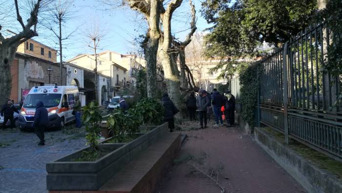 cava ucciso da un albero disposta l autopsia