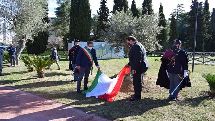 firenze una pietra e un ulivo per ricordare palatucci