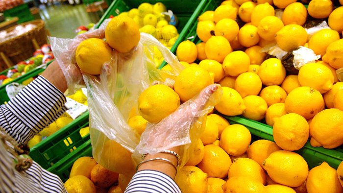 limone costa d amalfi igp nasce il distretto di qualita