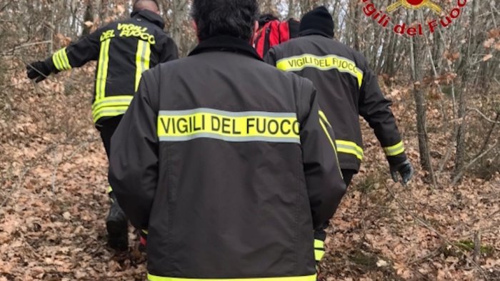 taglia un albero e viene travolto 65enne in ospedale