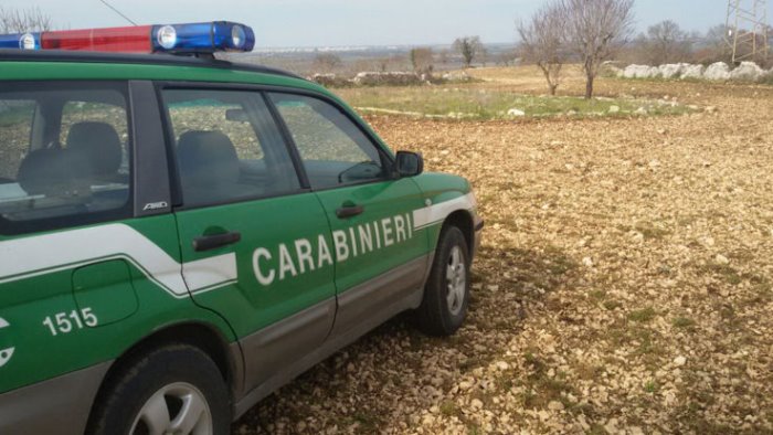 abusi edilizi a montecorice intervengono i carabinieri forestali