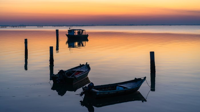 vacanze in veneto le piu belle escursioni nel delta del po