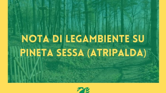 tagli pineta sessa la nota di legambiente con quei soldi il rimboschimento