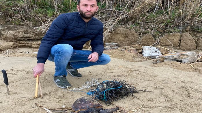 tartaruga intrappolata tratta in salvo sulla spiaggia di palinuro