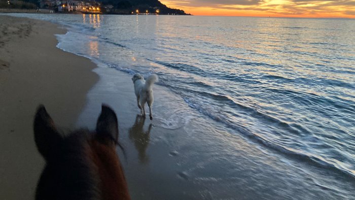 dal piemonte alla sicilia a cavallo la 23enne anna maria fa tappa nel cilento