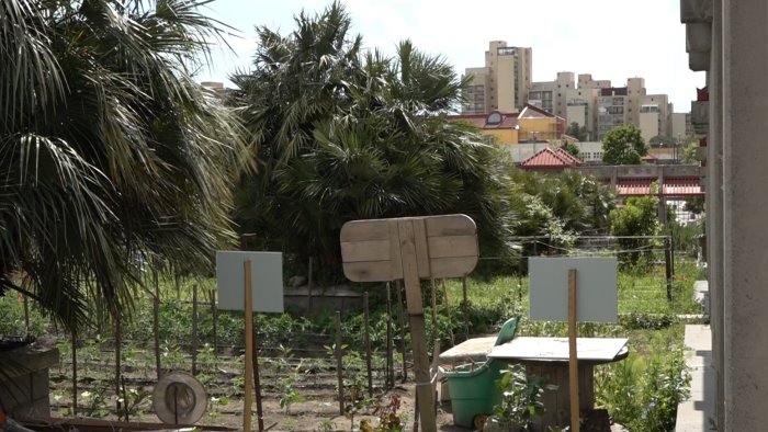 vandalizzati gli orti sociali di ponticelli avviata raccolta fondi