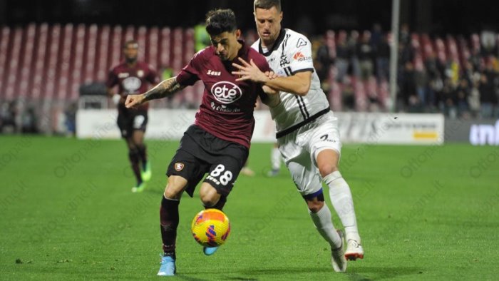 salernitana verso la sfida al genoa perotti in rampa di lancio