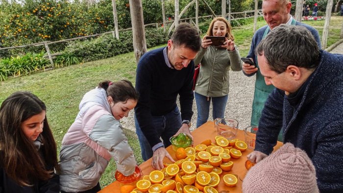 a sorrento la spremuta day con trecento alunni a lezione di natura