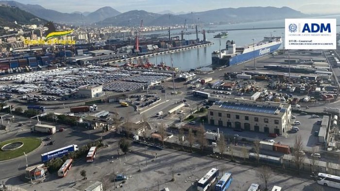 sequestrate 135 tonnellate di pellet contraffatto al porto di salerno