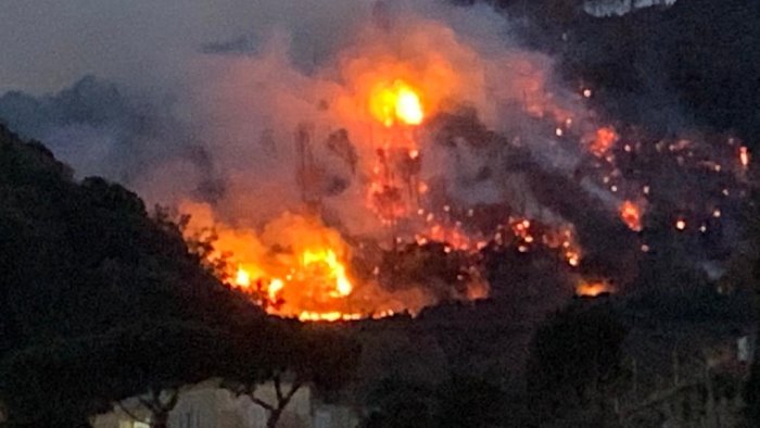 grave incendio a ischia europa verde ennesimo schiaffo al patrimonio boschivo