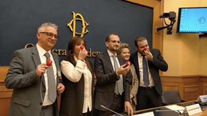 clownterapia fdi presenta proposta di legge giusto riconoscimento ai volontari