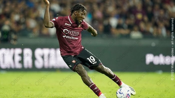 salernitana due cessioni salutano stewart e bronn