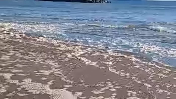 schiuma bianca e maleodorante in mare a miliscola si indaga