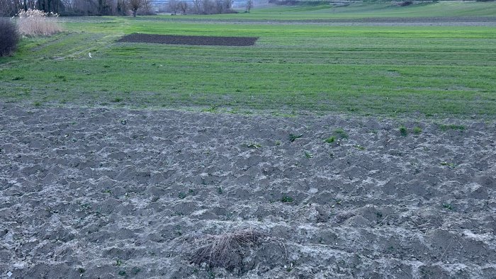 ariano raduno degli agricoltori in contrada cervo