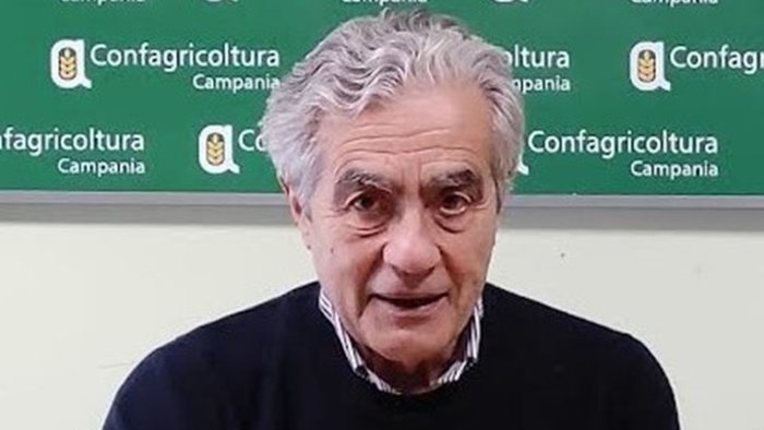 confagricoltura campania politica agricola comune inadeguata