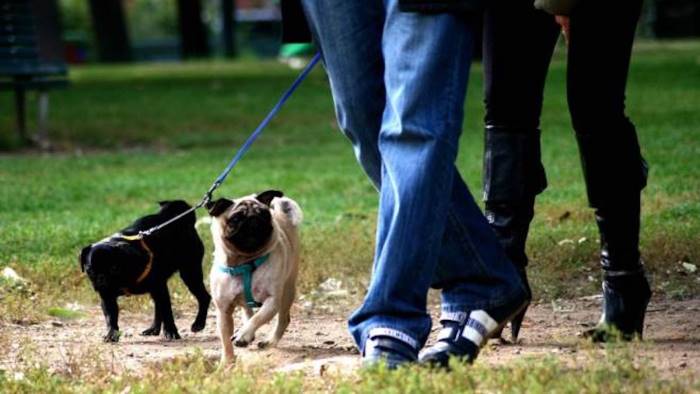 no alla passeggiata fuori con il cane se si ha il giardino