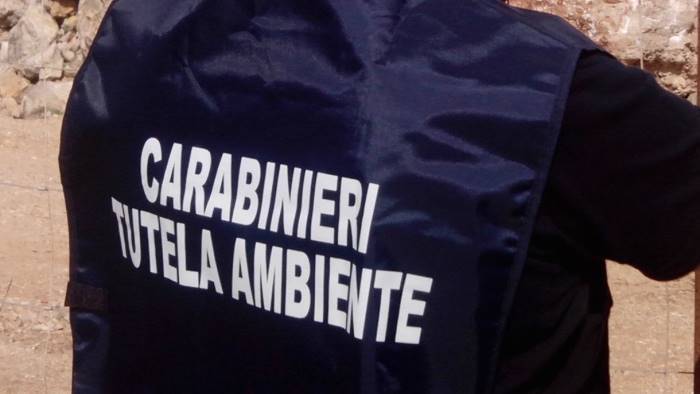 brucia rifiuti nell azienda agricola denunciato