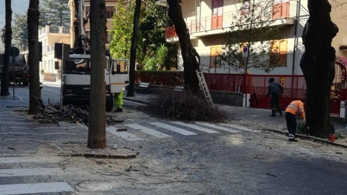 solofra censimento e lavori per la flora urbana