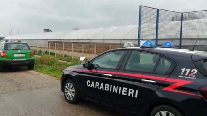 terra dei fuochi nuovi sequestri e denunce dei carabinieri