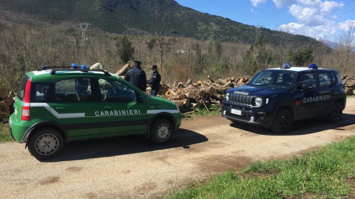 bosco sequestrato nel casertano scoperta attivita illecita