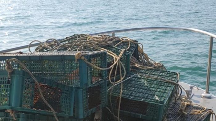 pesca illegale nel mare di salerno sequestrate 20 nasse