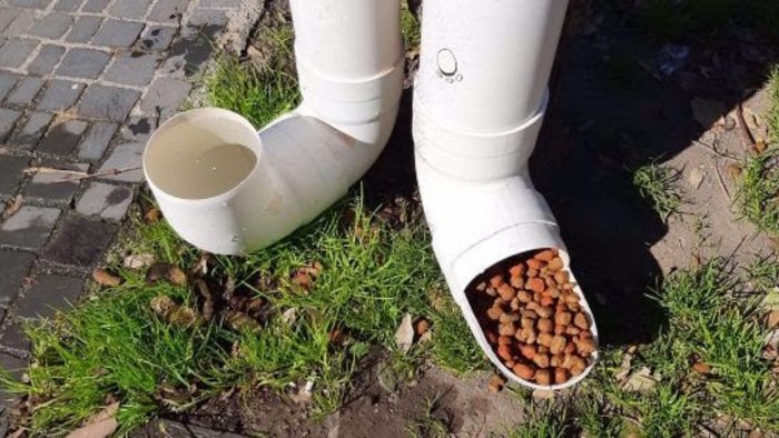 dispenser di cibo per randagi con materiali di recupero