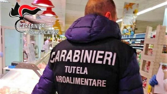 alimenti irregolari blitz dei carabinieri in provincia di salerno