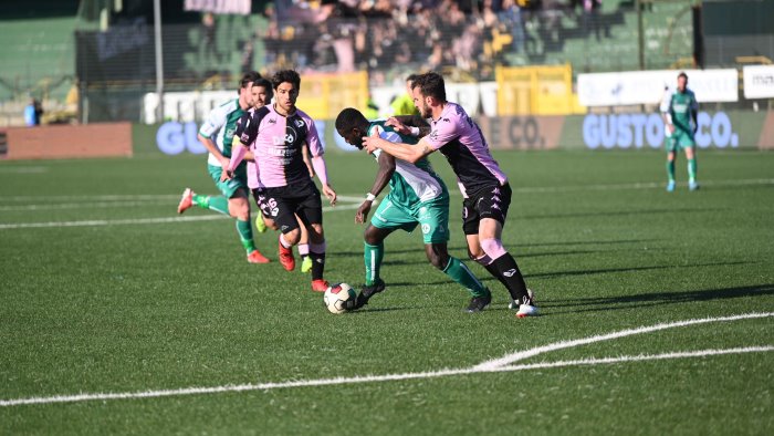 avellino palermo 1 2 la fotogallery del match