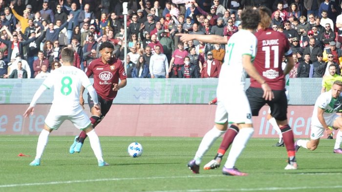 salernitana risentimento per ederson mazzocchi verso il recupero