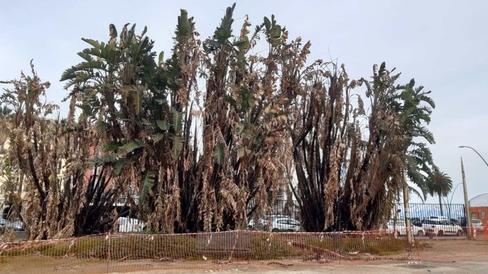 la villa comunale di napoli sempre piu abbandonata a se stessa