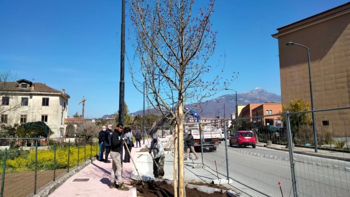 baronissi lavori su viale aldo moro procedono secondo il calendario previsto