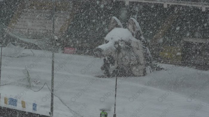 avellino catania via alla prevendita ecco tutti i dettagli per i tifosi