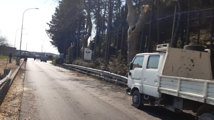 strade lavori di pavimentazione sulla sr 426 di polla