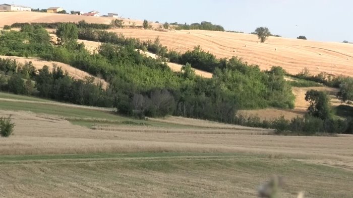 l istruzione agricola entra nelle scuole