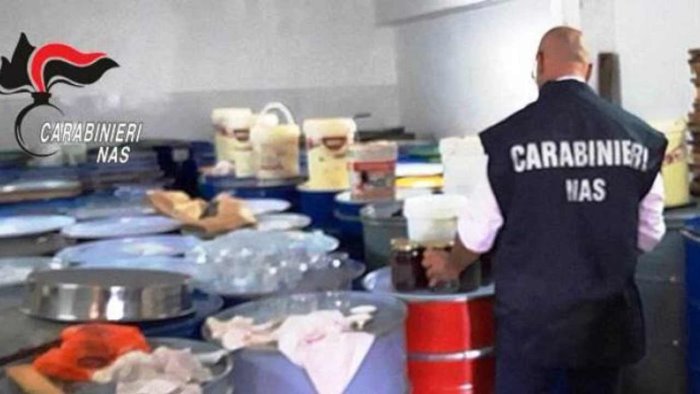 blitz dei nas chiuso supermercato nell avellinese sequestrati 15 kg di prodotti