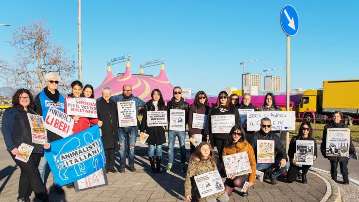 circo a salerno veg in campania organizza presidio di sensibilizzazione