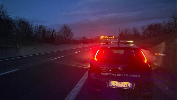 cane vaga in autostrada volontari protezione civile evitano incidente