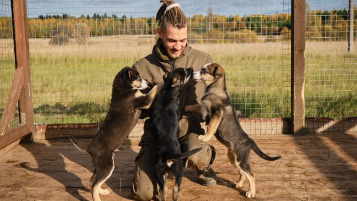 avellino educatrice cinofila lancia raccolta fondi online per un rifugio cani