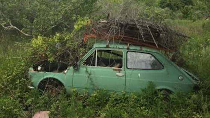 cimitero di auto abbandonate tra la vegetazione a buccino la denuncia della gai