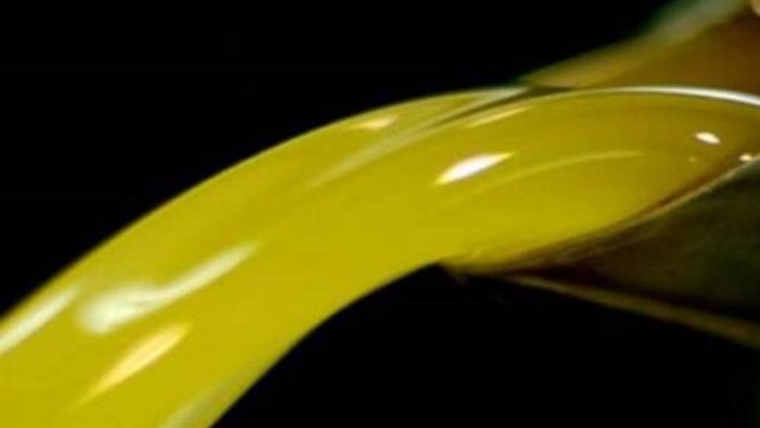 l olio extravergine d oliva prodotto in campania ora e anche igp