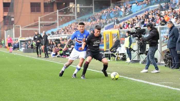 salernitana la difesa torna un bunker ochoa trova il doppio clean sheet