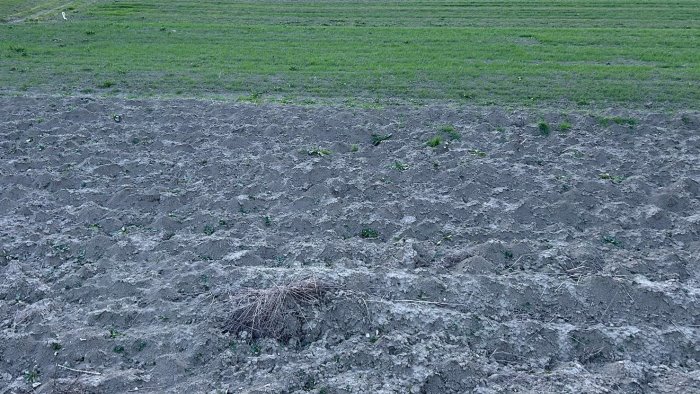 100 giorni per salvare l agricoltura e la pesca manifestazione a roma