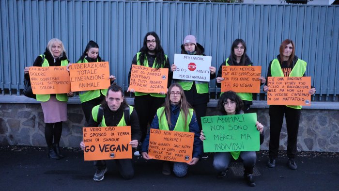 pagani attivisti di animal save salvano un agnello dal mattatoio